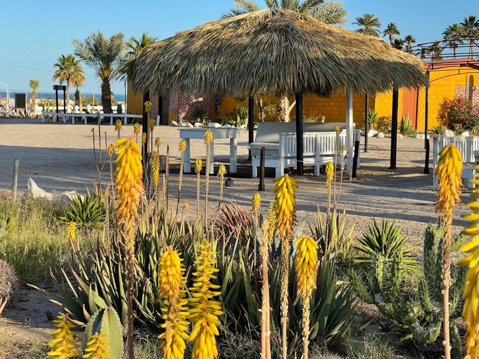 סן פליפה Hotel Las Palmas מראה חיצוני תמונה