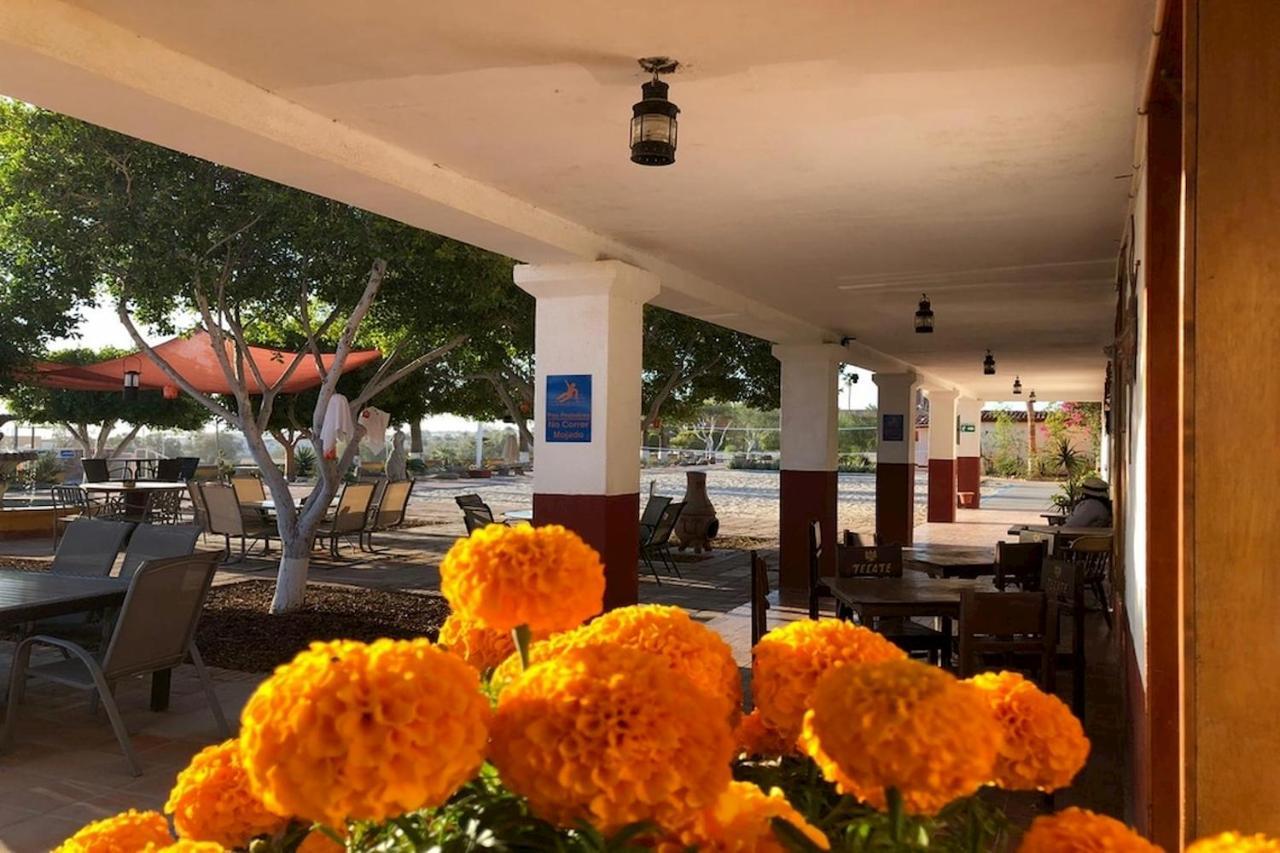 סן פליפה Hotel Las Palmas מראה חיצוני תמונה