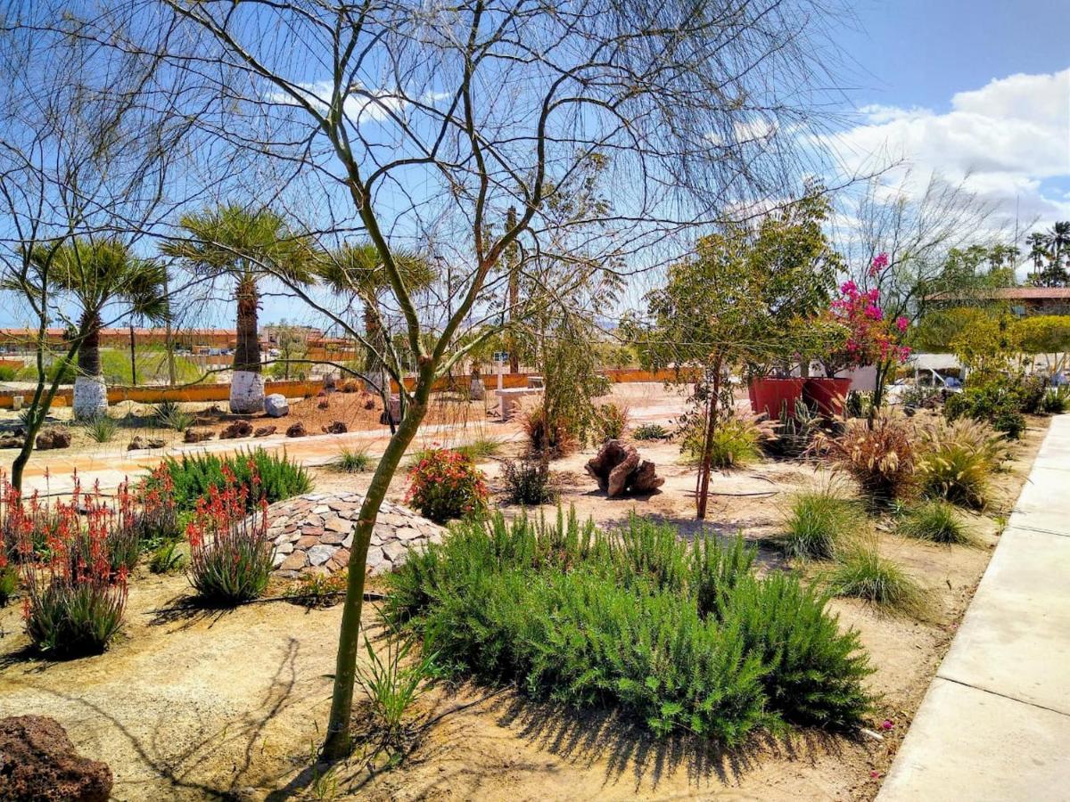 סן פליפה Hotel Las Palmas מראה חיצוני תמונה